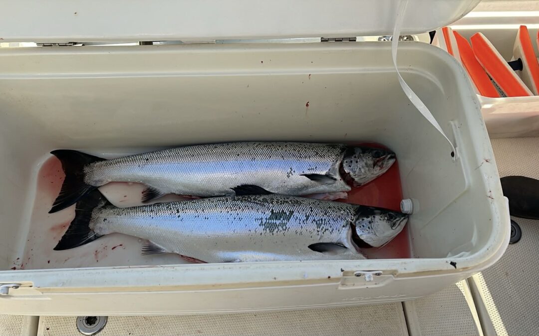 Påsketur til Bornholm