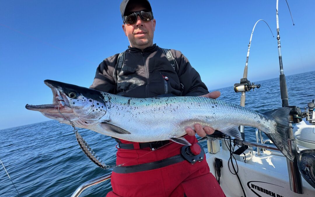 Laksetur til Bornholm status onsdag