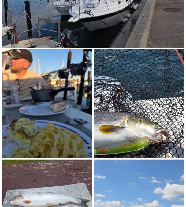 Sommer fiskeri ved Stevns